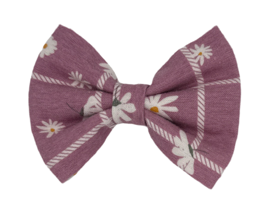 Purple Daisy